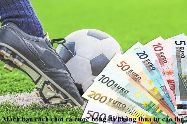 Cách đánh phỏm chuẩn xác giúp bạn nâng cao kỹ năng chơi phỏm và chiến thắng dễ dàng