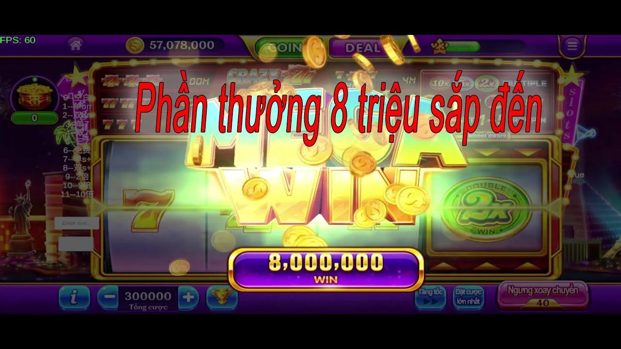 Hướng dẫn chi tiết xếp bàn cờ vua đúng chuẩn cho người mới bắt đầu