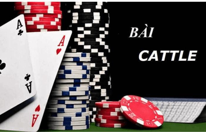 Khám phá những tính năng nổi bật của 789club web dành cho người chơi cá cược