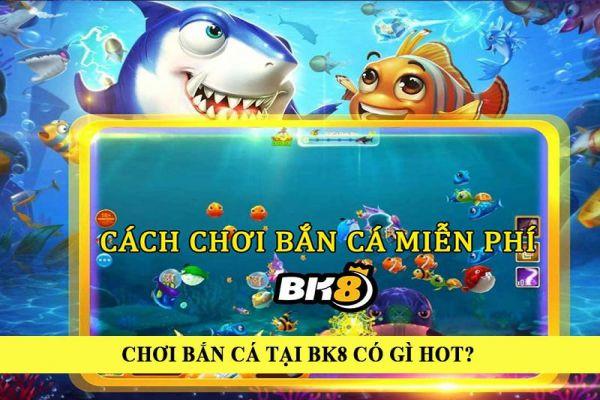 Cập nhật xoilac tỷ số bóng đá hôm nay nhanh nhất và chính xác