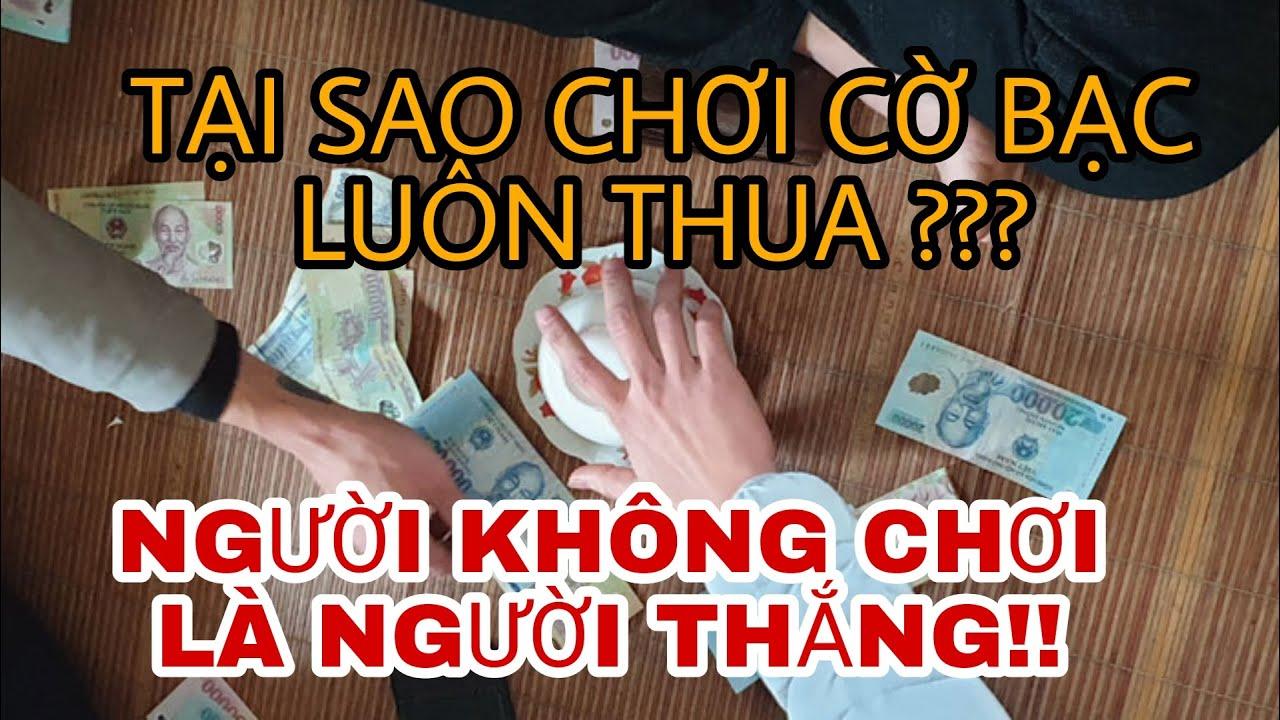 Khám phá Untamed – Giant Panda trò chơi hấp dẫn với phần thưởng đặc biệt
